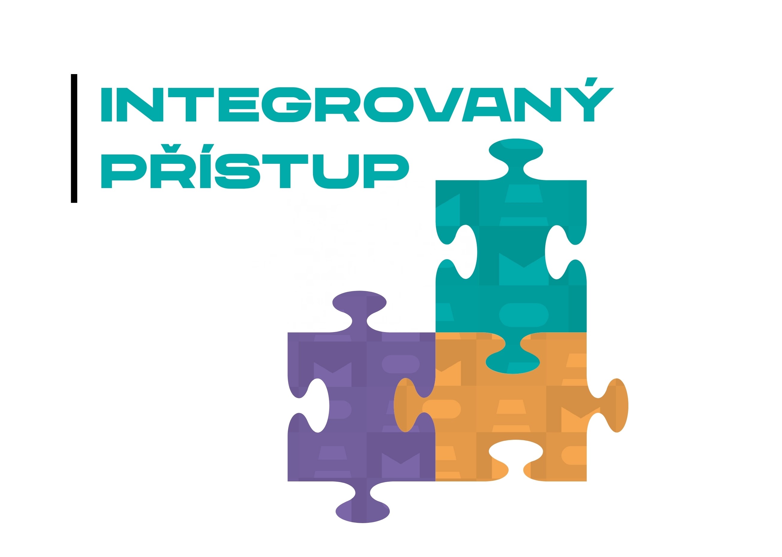 Integrovaný přístup a jeho výhody 